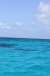resIMG_20120706_1602.JPG